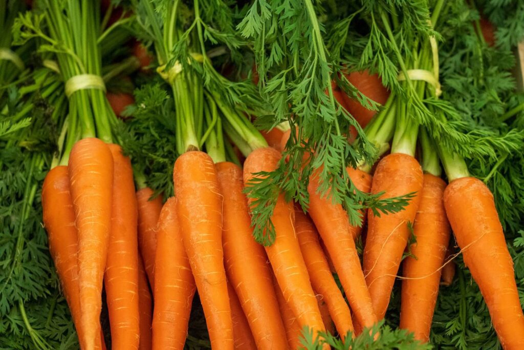 How to grow carrots in a home garden